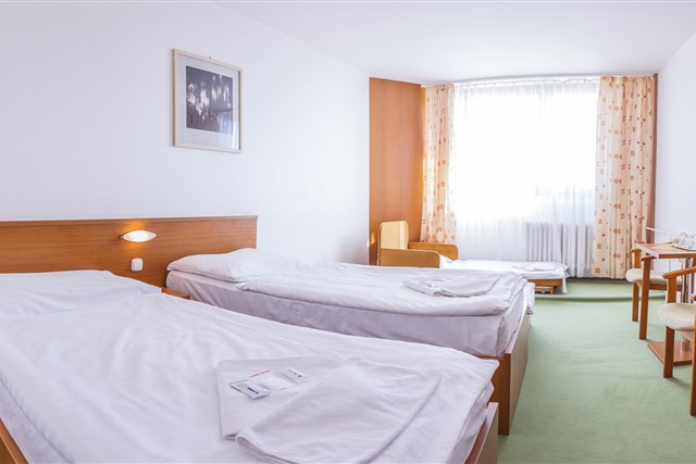 Hotel SOREA HUTNIK I - pokój - 2(+2)